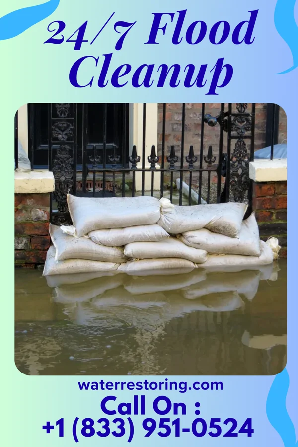 24/7 Flood Cleanup in Walstonburg, NC