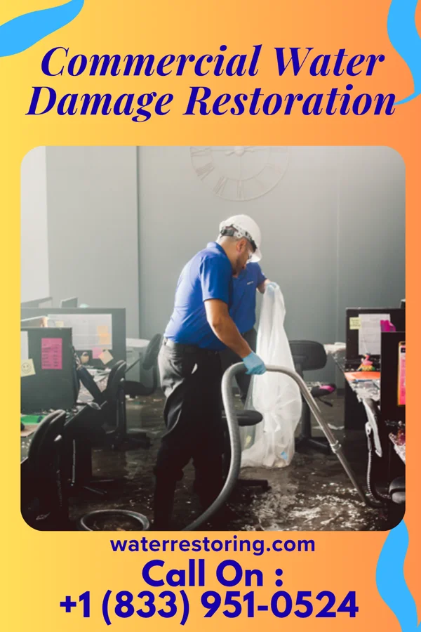 Commercial Water Damage Restoration in Walstonburg, NC