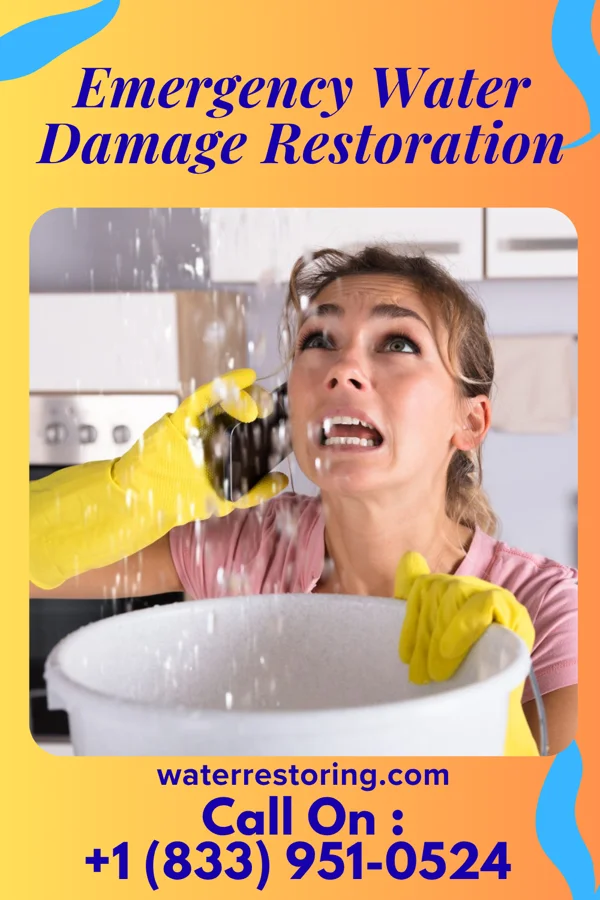 Emergency Water Damage Restoration in Walstonburg, NC