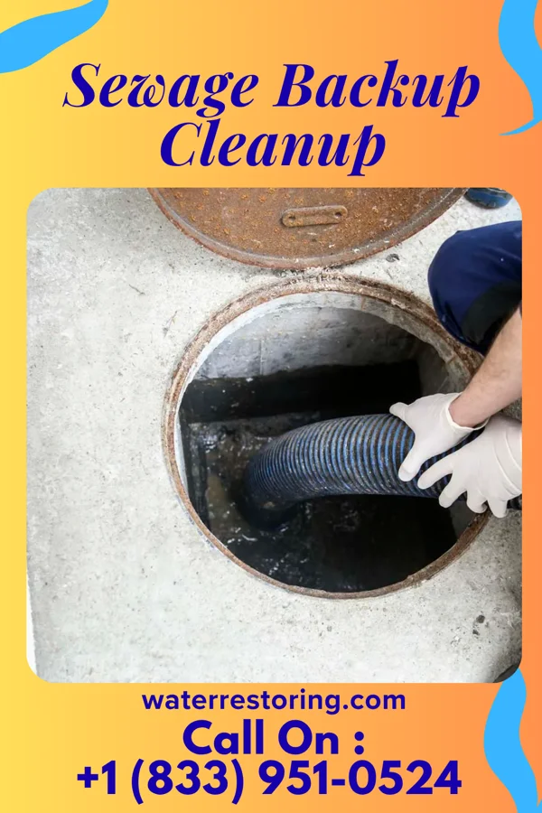 Sewage Backup Cleanup in Walstonburg, NC